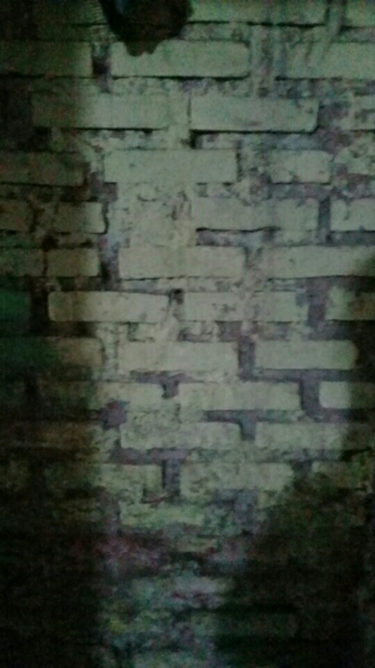 Centong Nasi Murah Magic Jar Centong Plastik Anti Lengket