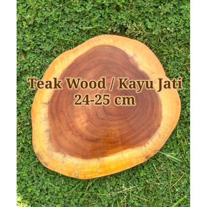 Teak wood 24-25 cm slice log potongan kayu jati dekorasi talenan alas kayu