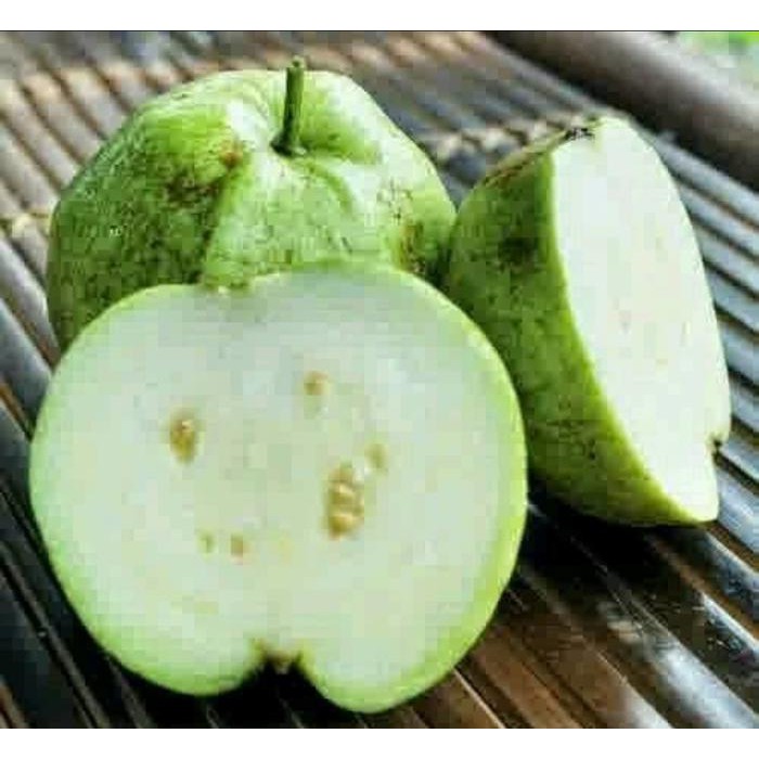 brek Promo Bibit Jambu Kristal Putih Tanpa Biji 50 cm bibit / biji / benih Promo...