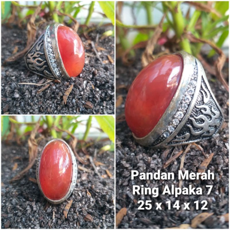 Natural Pandan Merah.