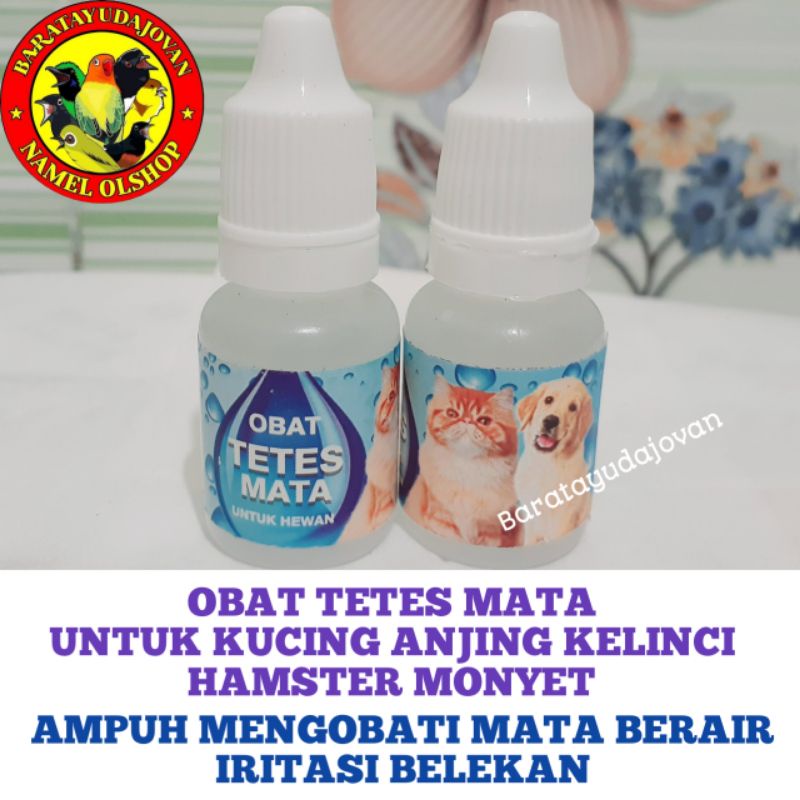 OBAT TETES MATA UNTUK KUCING ANJING KELINCI HAMSTER MONYET AMPUH MENGOBATI MATA BERAIR IRITASI BELEK