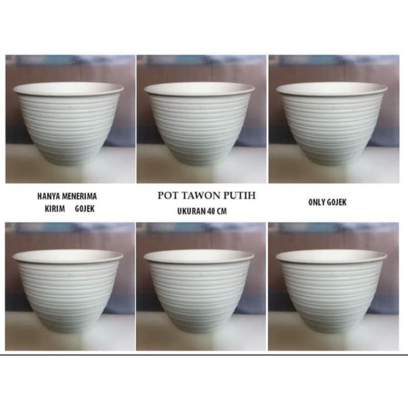 Pot tawon 21cm putih pot bunga kekinian modern minimalis dan bersih