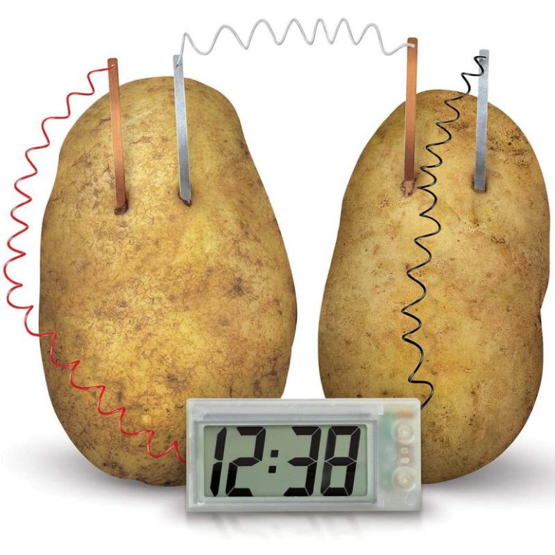 4m Green Science Potato Clock Shopee Indonesia