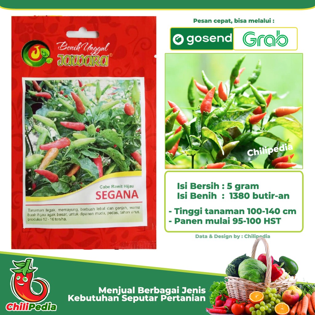 Bibit Benih Cabe Rawit Hijau - SEGANA 5 gr Benih Jawara