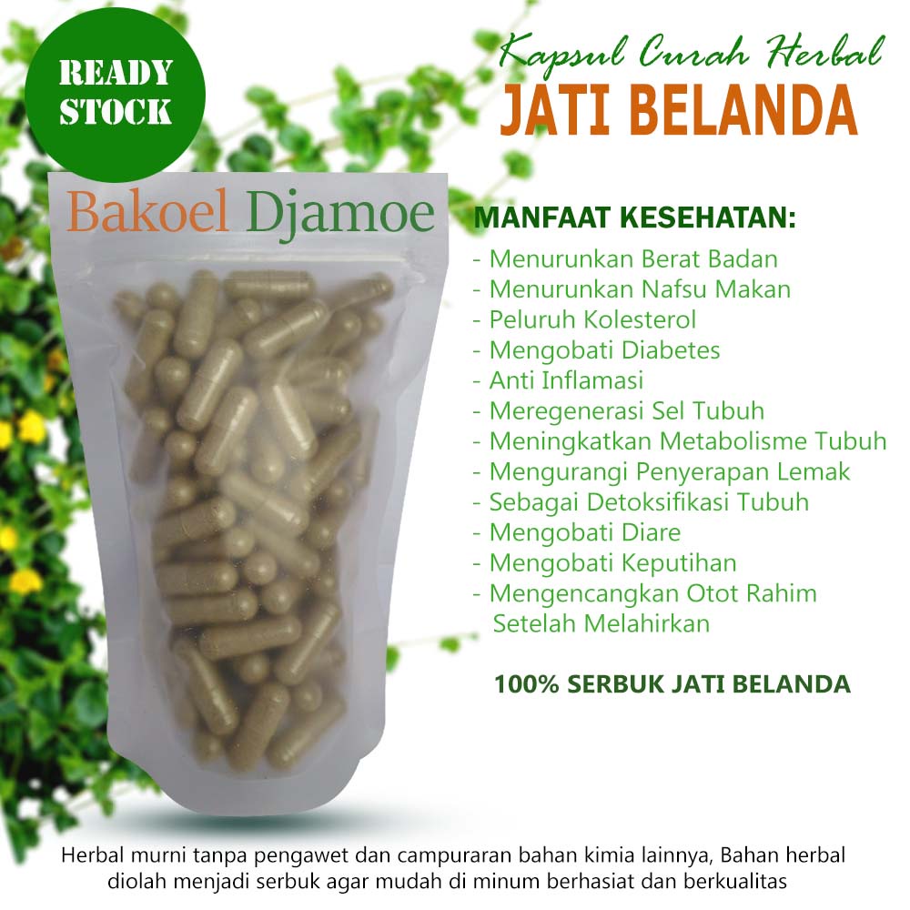 

Kapsul curah herbal jati belanda menurunkan berat badan keputihan