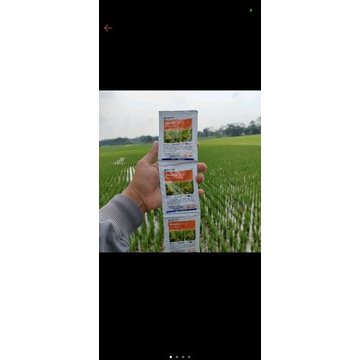 Pexalon 15ml (5 sachet)