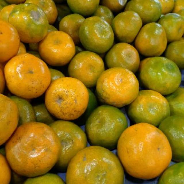 

Jeruk Medan Manis 1Kg