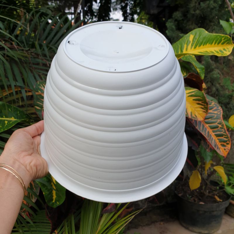 POT TAWON 25 JM DIAMETER 25 CM (PREMIUM GRADE A) HARGA GROSIR TERMURAH