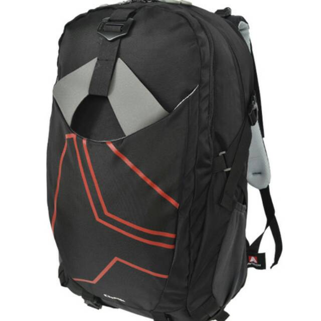 BAGPACK/DAYPACK Avtech CHALK
