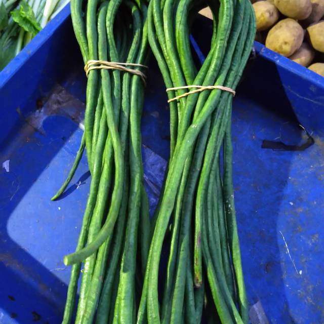 

Kacang Panjang 250 gr