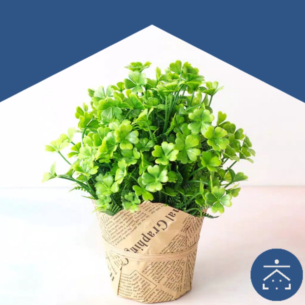 Kunataruma Tanaman Pot Vintage Rumput Daun Rambat Hias Kunataruma Tanaman Pot Vintage Rumput Daun Rambat Hias