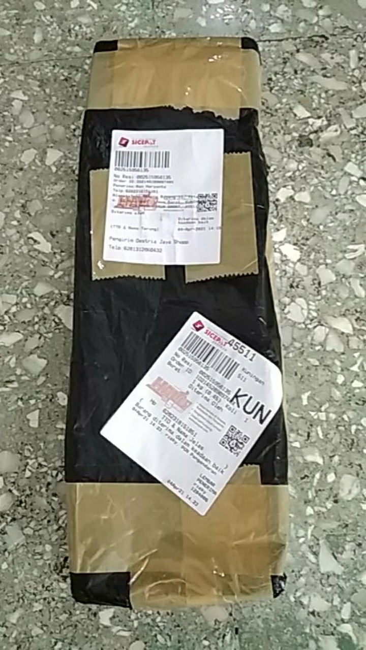 Bibit Kapulaga India