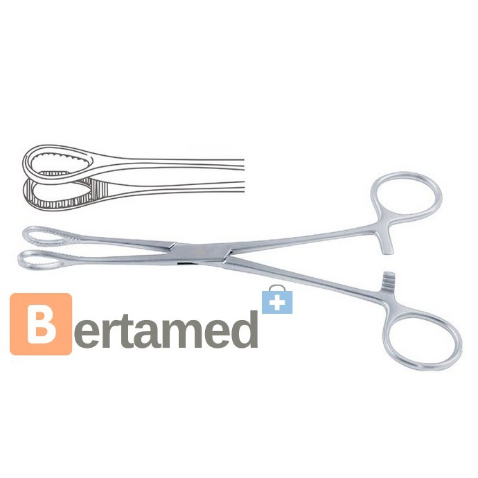 Foerster Sponge Holding Forcep Straight