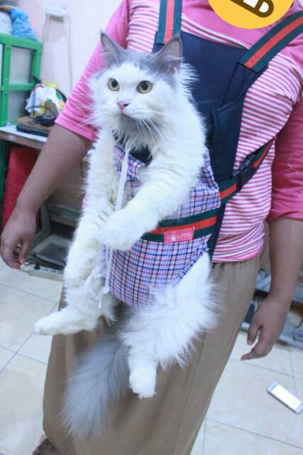 Gendongan untuk hewan peliharaan kucing dan anjing size S M L XL