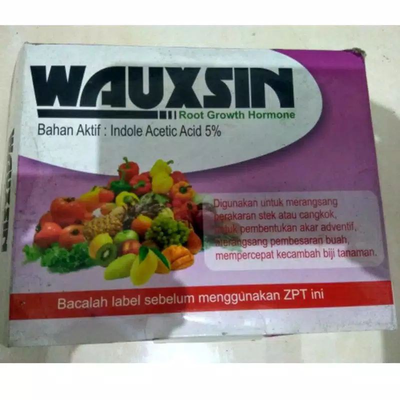 ZPT akar Wauxsin Wauxin Hormon Akar