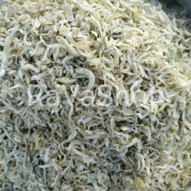 

Teri Medan 1 kg Kering Teri Nasi Gurih