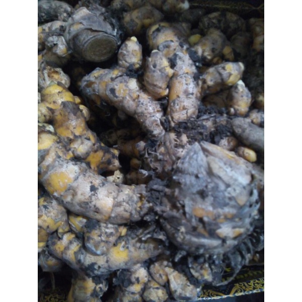 

TEMULAWAK 500GRAM BELUM DICUCI