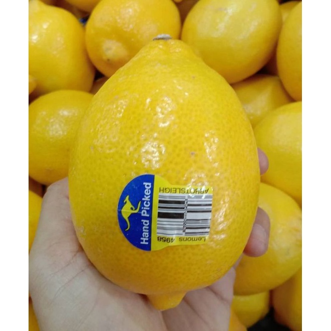 

BUAH LEMON IMPORT AUSTRALIA FRESH