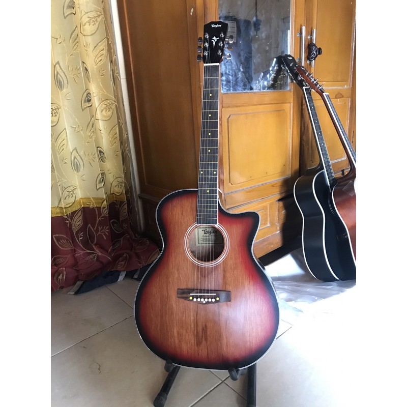 gitar akustik murah taylor