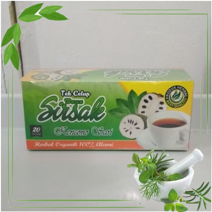 

Teh CELUP Daun Sirsak Teh Herbal Obat Kanker dan Liver Asli Original