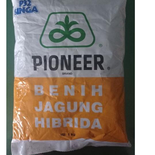 New Benih Jagung Hibrida Pioneer P32 Singa - 1kg/ benih bibit jagung hibrida Pioneer P 32