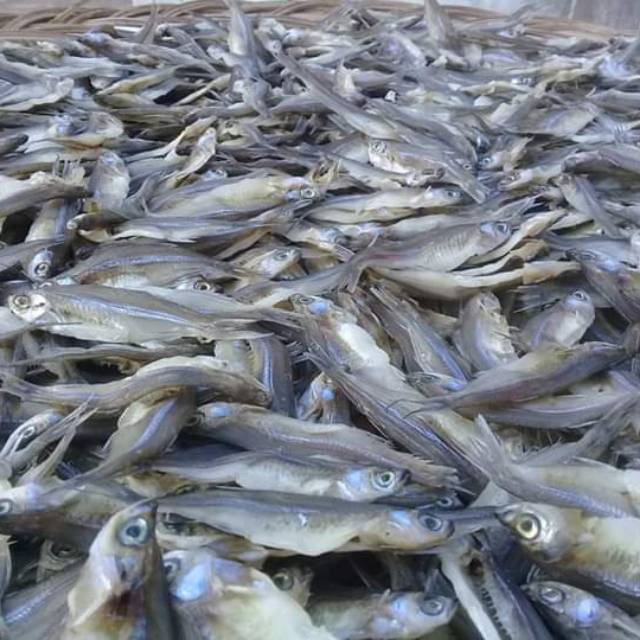 

Ikan asin miang