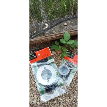 gigi sentrik gl series set atas bawah/rantai keteng original did