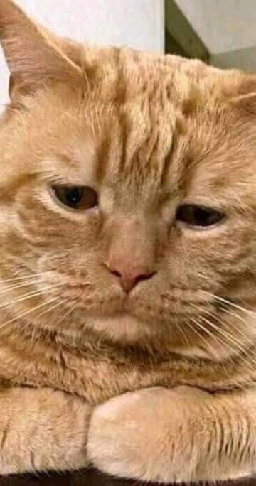 Batik Jumbo Big Size Jumbo Xxl Xxxl 3l 4l 5l Murah Batik Jumbo Couple m,l,xl,xxl,xxxl,xxxxl,xxxxxl