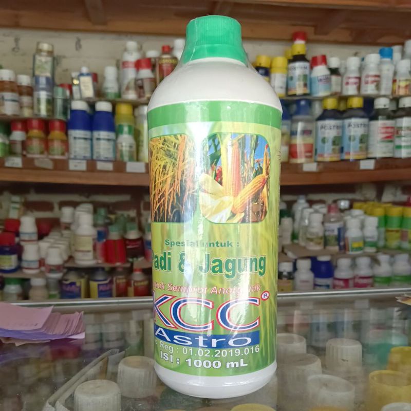 KCC JAGUNG PADI 1L