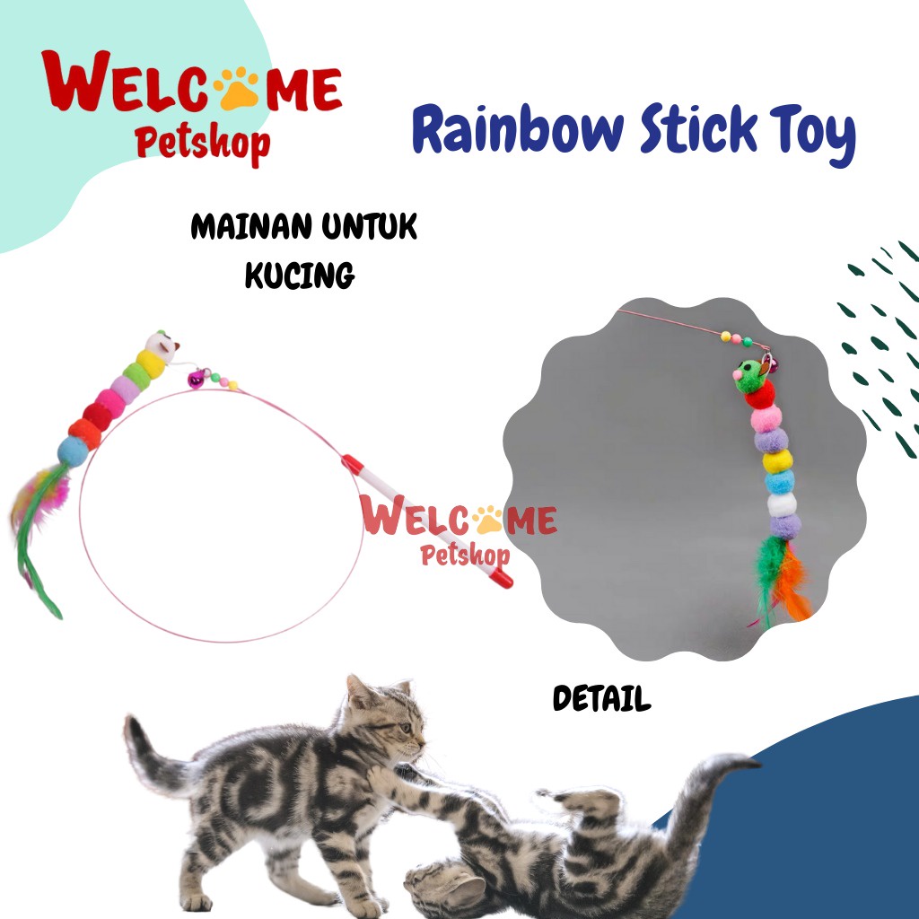 Rainbow Stick Toy / Mainan Kucing Tongkat / Chaser Cat Toy