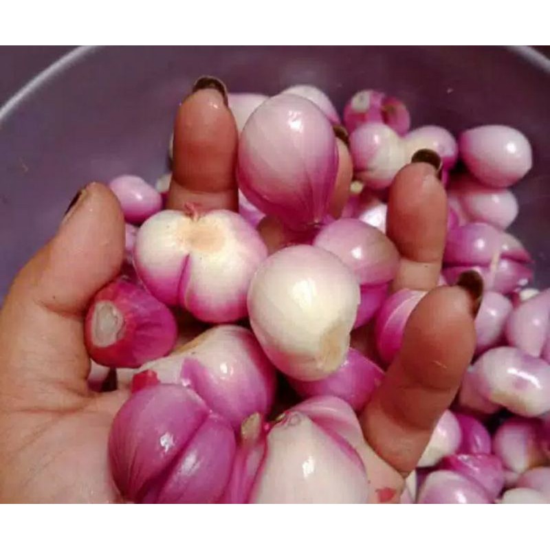 

Bawang merah kupas