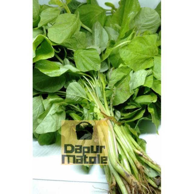 

Daun Bayam 1 ikat