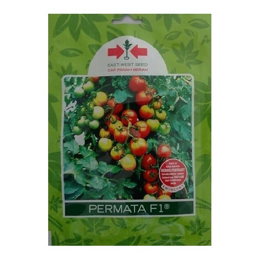 Benih Panah Merah Tomat Permata F1 – 1.750 biji