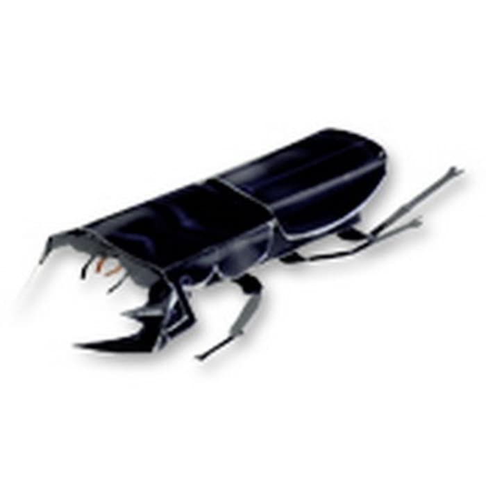 870 Koleksi Gambar Hewan Serangga Kumbang HD Terbaik