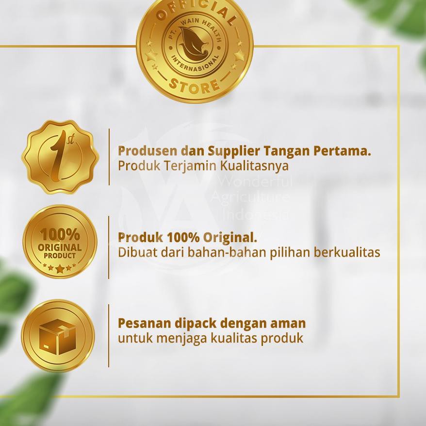 

(FOR SALE) ..!>. 775KYN TEH CELUP DAUN KELOR : 100% Organik Anti-Kanker, Diabetes, Tingkatkan Imuni