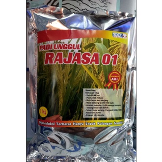 Benih Bibit Padi Rajasa 01 1Kg 1000 Bulir Berkualitas