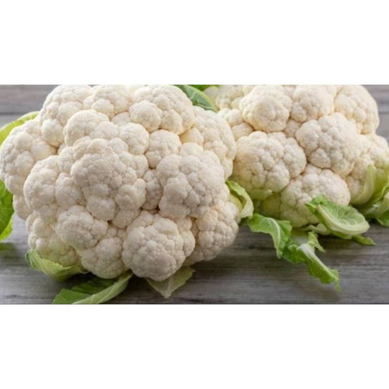 

Sayur Kembang kol segar surga kebutuhan ku cauliflower fresh