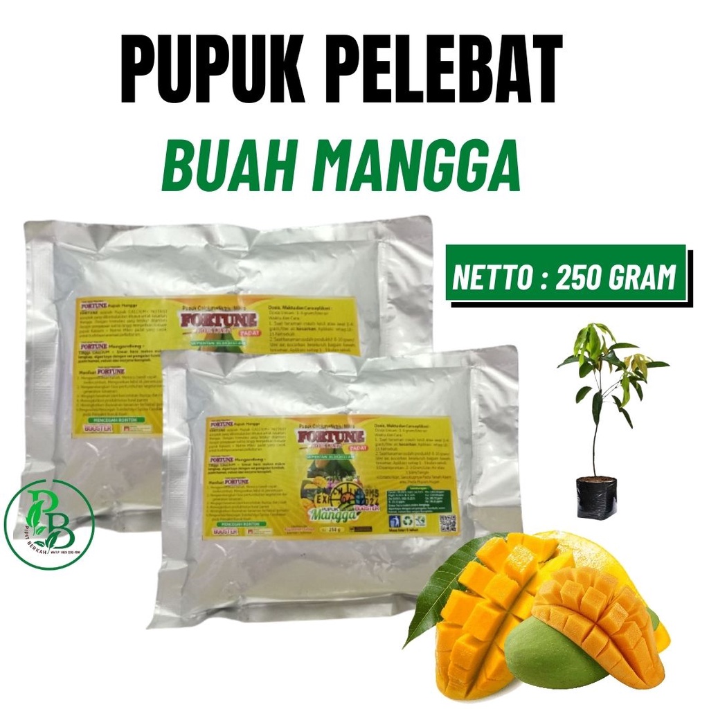 Pupuk Perangsang Buah Mangga, Pupuk Buah Mangga Terbaik, pupuk BOOSTER mangga berbuah lebat