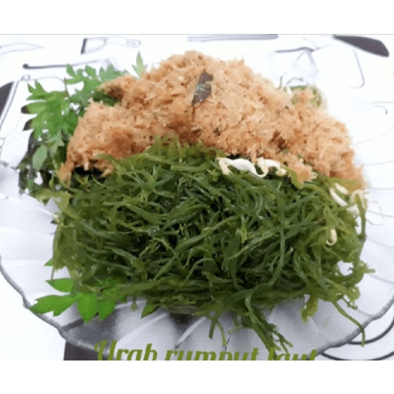 

Rumput laut segar istimewa 1kg