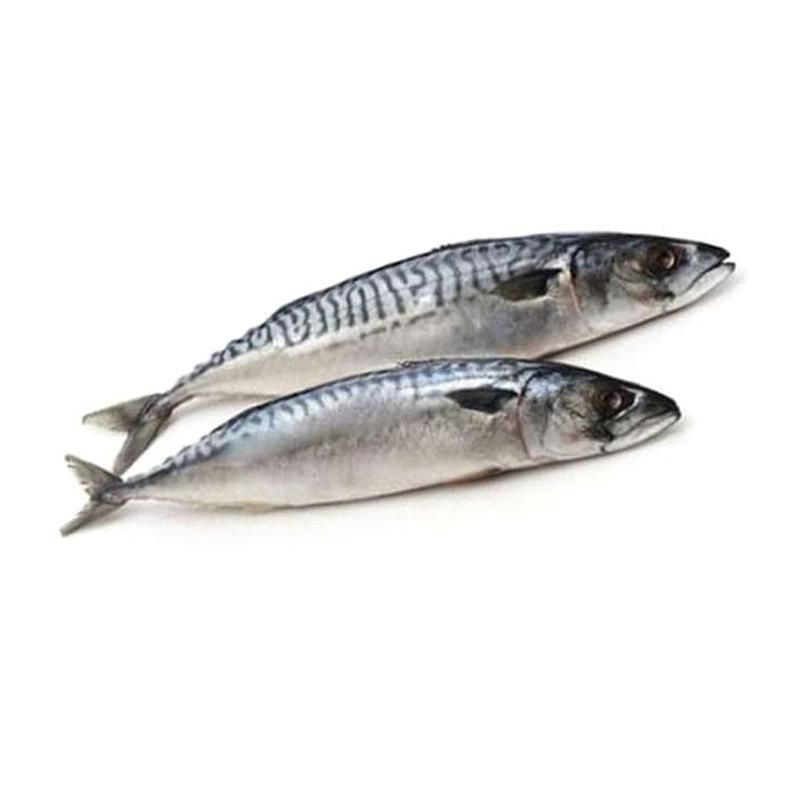 

Ikan Sarden Fresh