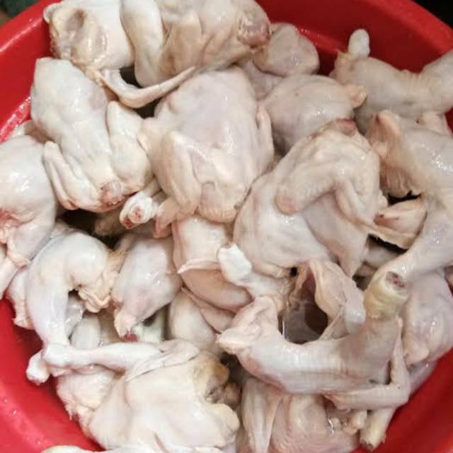

AYAM KECIL POTONG