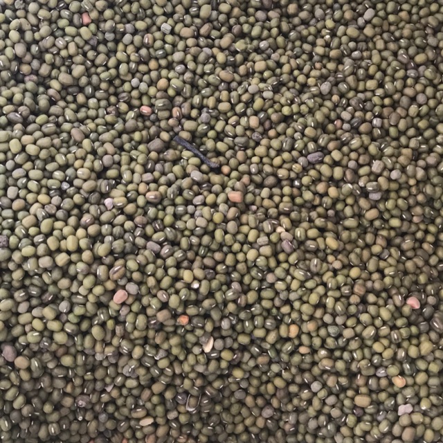 

KACANG HIJAU 1/2kg