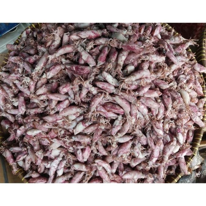 

Jual Cumi Baby Asin 1KG