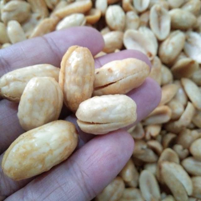 

Kacang Goreng Jumbo