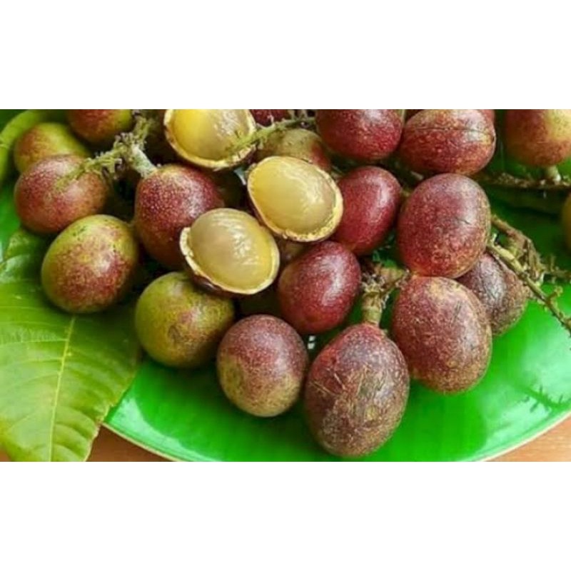 

BUAH MATOA BERAT 1,000 GRAM