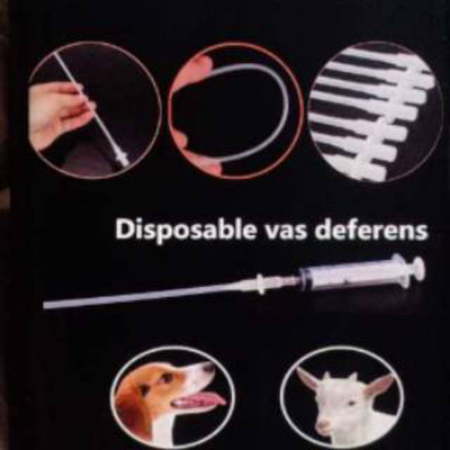 Selang kawin suntik catheter cateter inseminasi