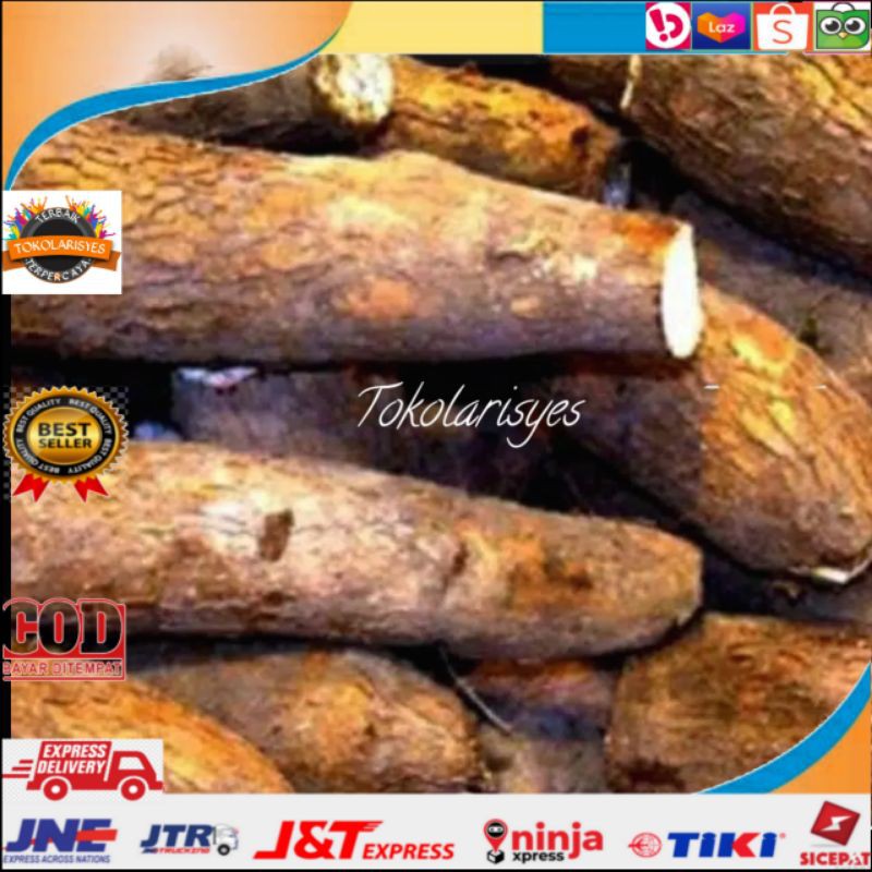 

SINGKONG 1000gr TERLARIS