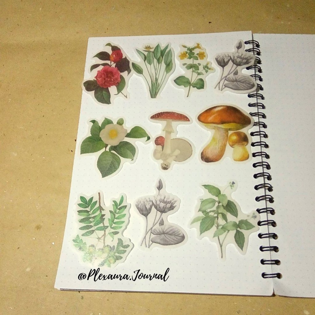 

Sticker Bujo “Botanical” untuk Scrapbook, Bujo dan Journal Cibinong Bogor