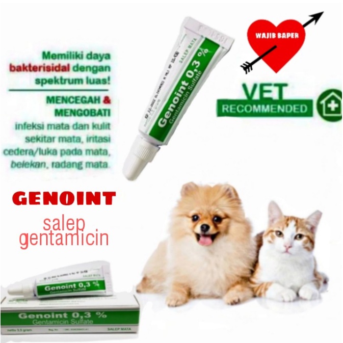 obat salep mata kucing anjing kelinci