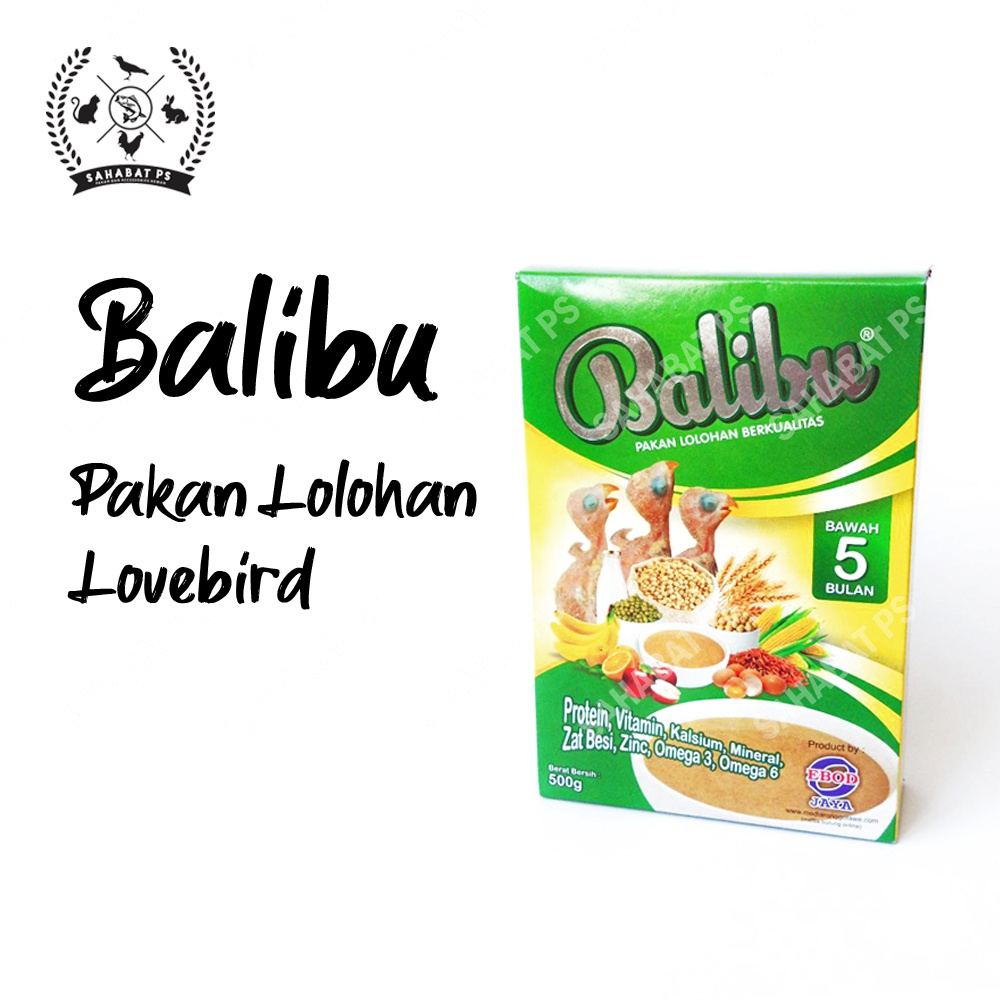BALIBU EBOD PAKAN ANAK BURUNG LOVEBIRD LOLOHAN HAND FEEDING